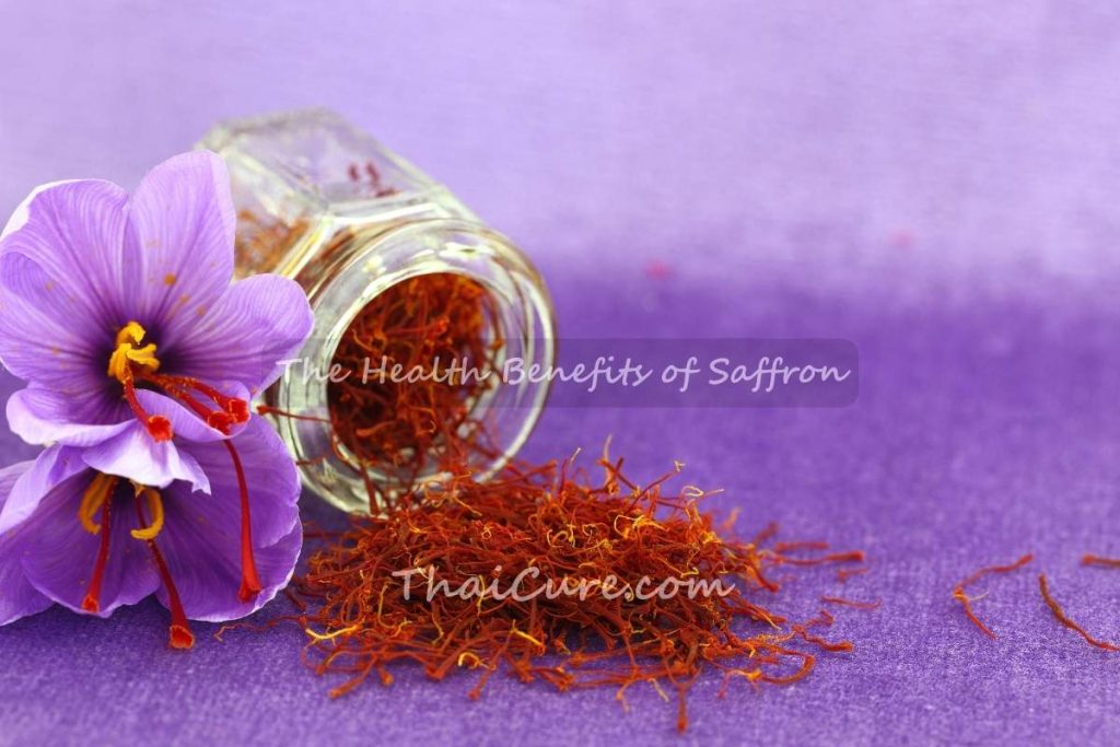 The Health Benefits of Saffron The Health Benefits of Saffron