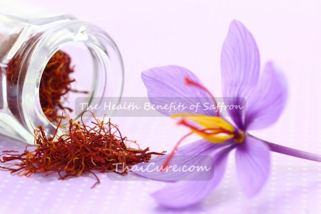 The Health Benefits of Saffron (5) The Health Benefits of Saffron