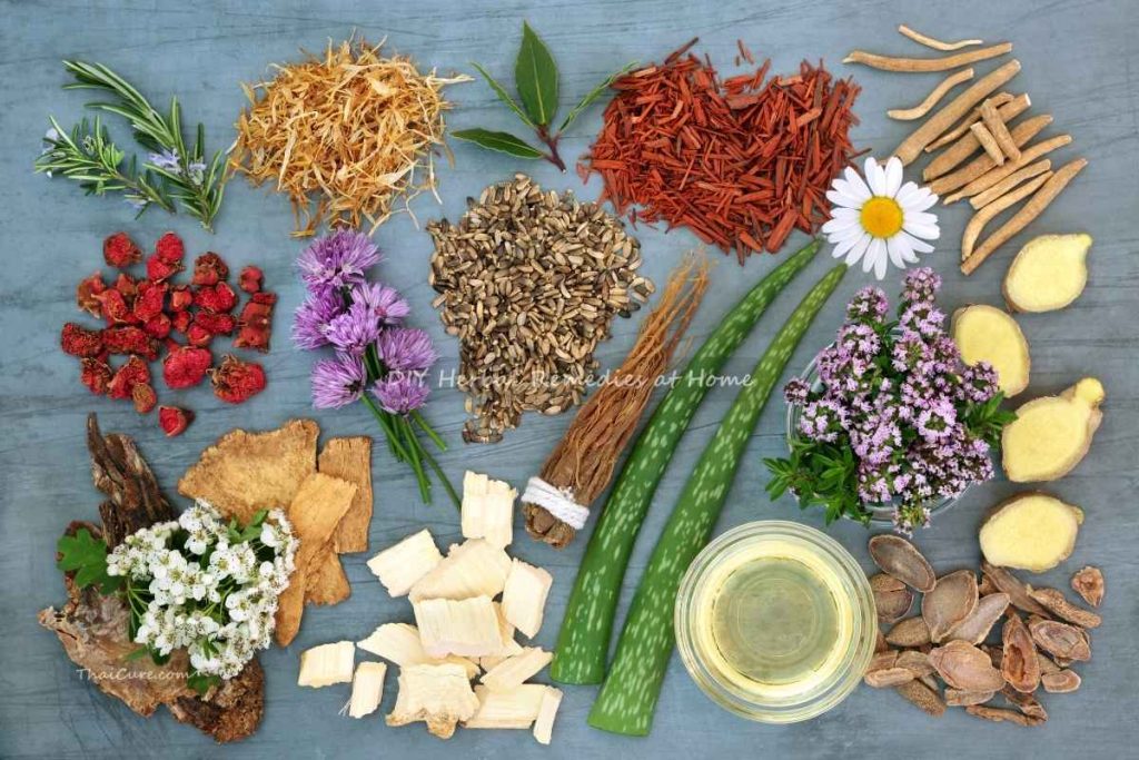 DIY Herbal Remedies at Home (1) DIY Herbal Remedies at Home