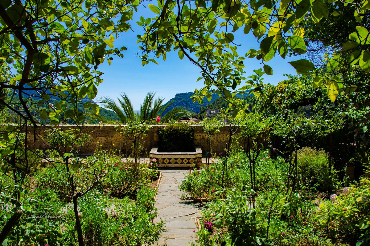 Featured - Wellness Retreats in Thailand