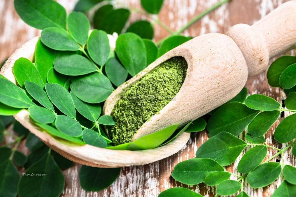 Moringa Powder Benefits (4) Moringa Powder Benefits