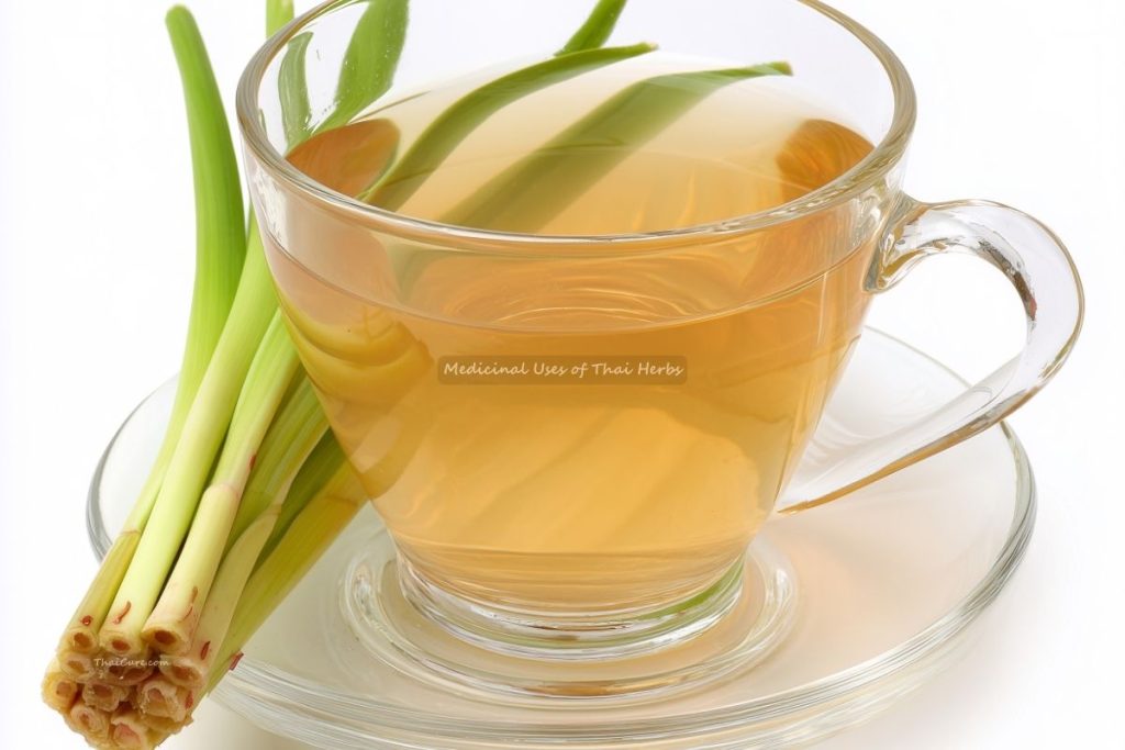 Medicinal Uses of Thai Herbs (2) Medicinal Uses of Thai Herbs