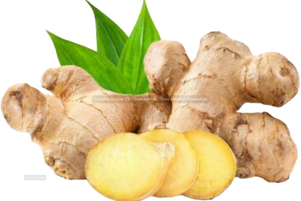 Simple Guide To Traditional Thai Herbal Remedies