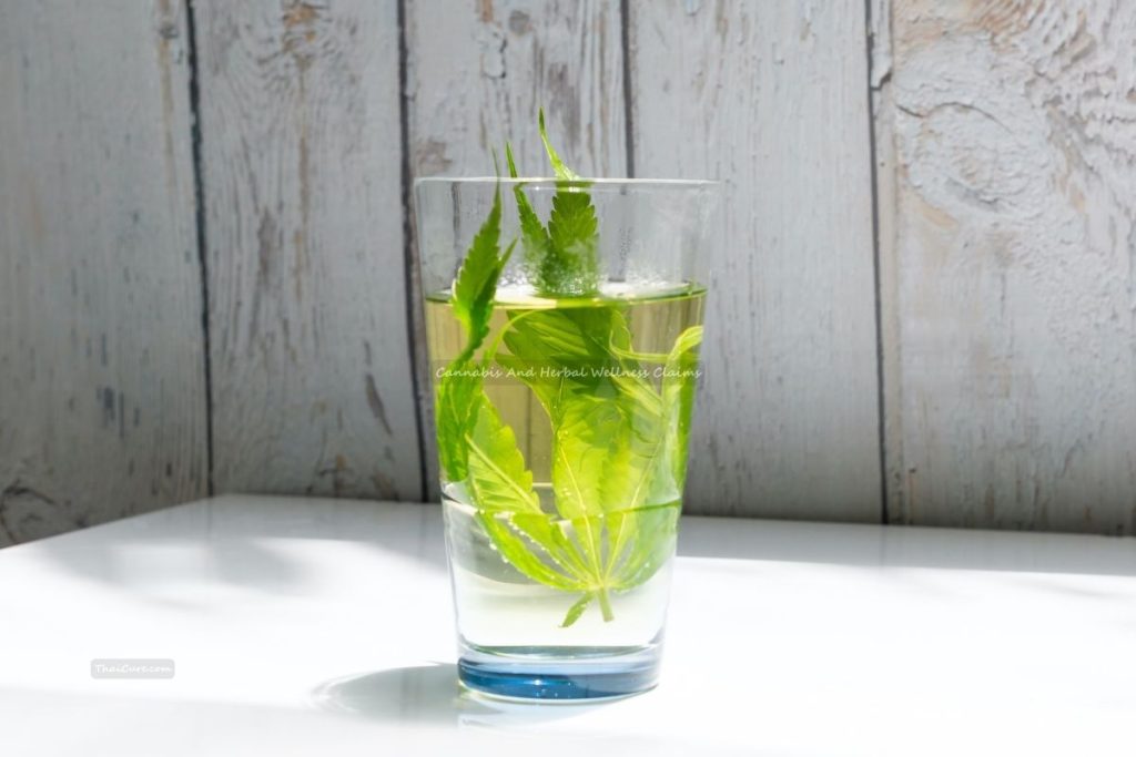 Cannabis And Herbal Wellness Claims