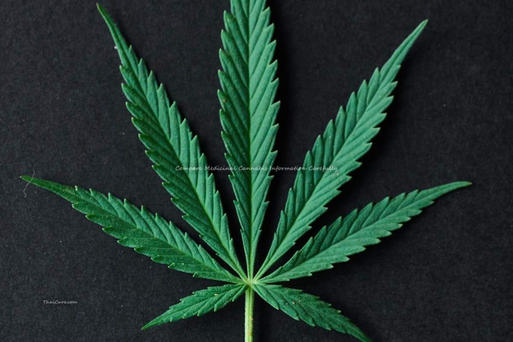 Compare Medicinal Cannabis Information Carefully (1) Compare Medicinal Cannabis Information Carefully