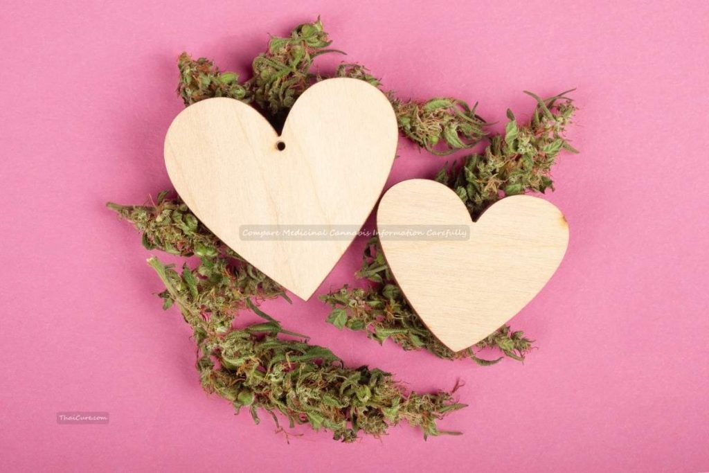 Compare Medicinal Cannabis Information Carefully Compare Medicinal Cannabis Information Carefully