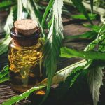 How To Track Your Medicinal Cannabis Response