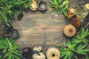 Medicinal Cannabis Terms In Thai Healthcare