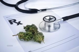 What to Know About Medicinal Cannabis Education