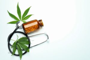 Why Professional Guidance For Medicinal Cannabis Matters