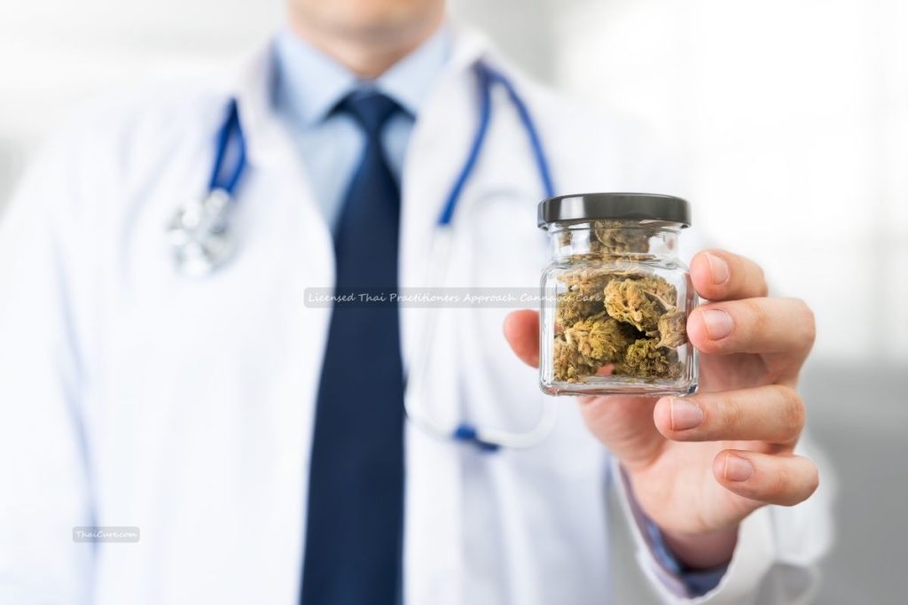 Licensed Thai Practitioners Approach Cannabis Care