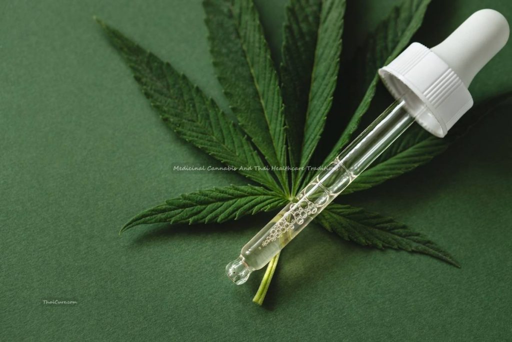 Medicinal Cannabis And Thai Healthcare Traditions