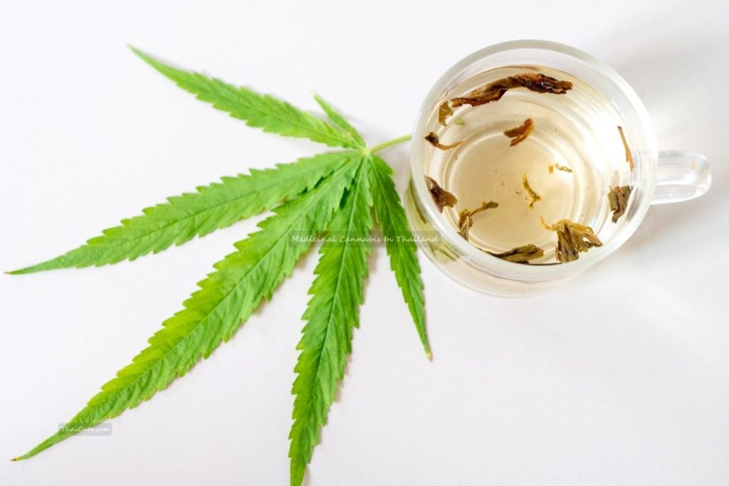 Medicinal Cannabis In Thailand