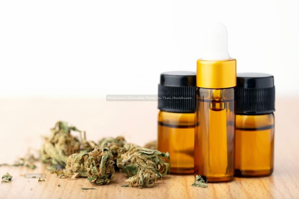 Medicinal Cannabis Terms In Thai Healthcare (2) Medicinal Cannabis Terms In Thai Healthcare