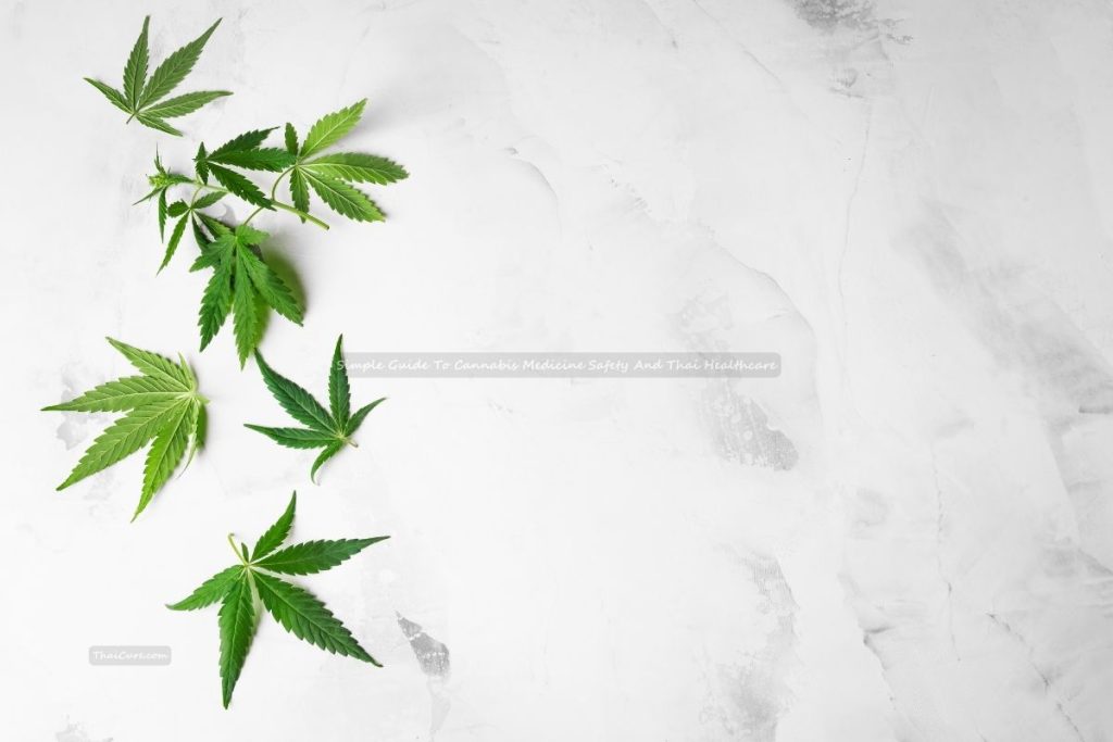 Simple Guide To Cannabis Medicine Safety And Thai Healthcare