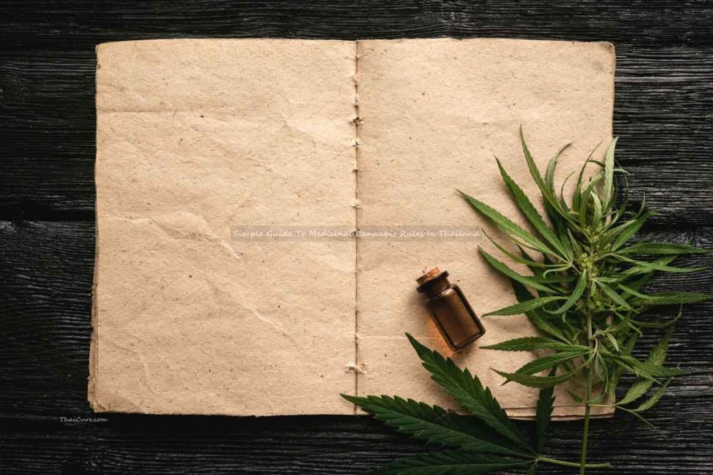 Simple Guide To Medicinal Cannabis Rules In Thailand