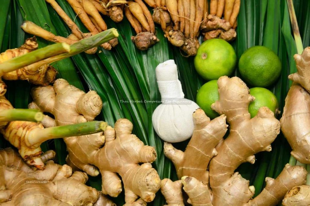 Thai Herbal Compresses For Beginners (1) Thai Herbal Compresses For Beginners