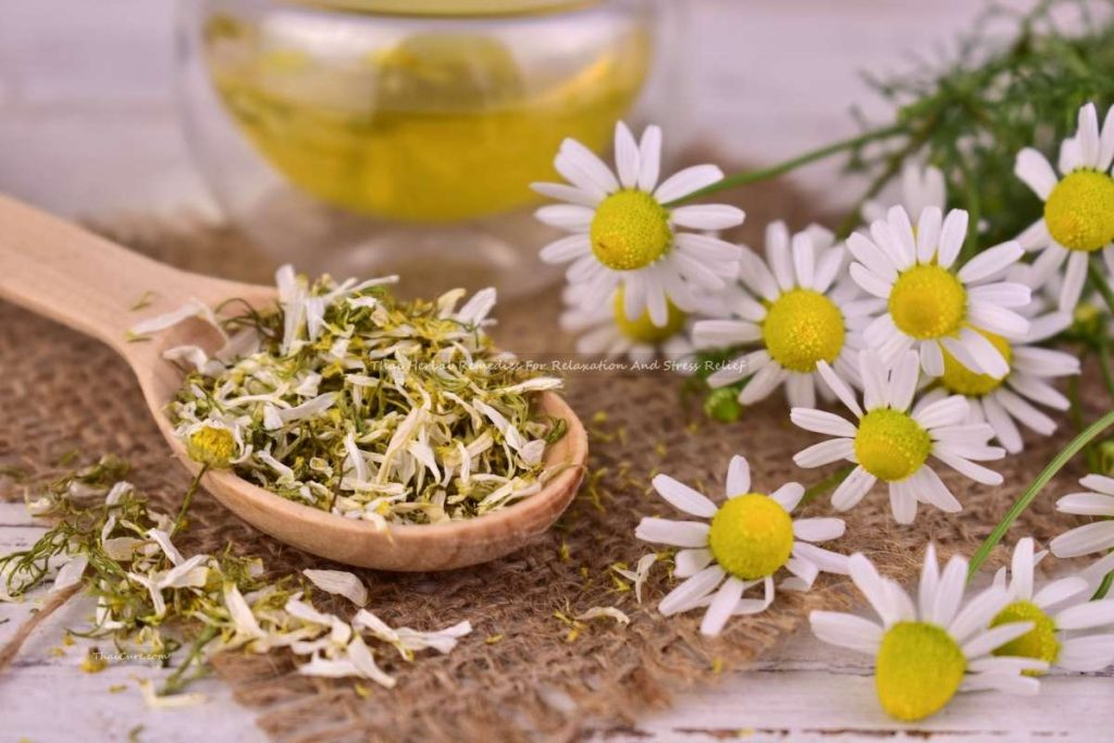 Thai Herbal Remedies For Relaxation And Stress Relief (1) Thai Herbal Remedies For Relaxation And Stress Relief
