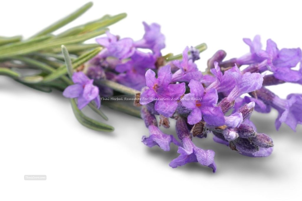 Thai Herbal Remedies For Relaxation And Stress Relief (2) Thai Herbal Remedies For Relaxation And Stress Relief