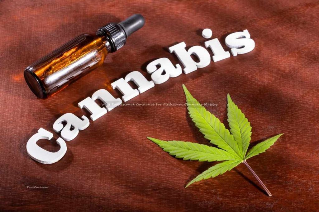 Why Professional Guidance For Medicinal Cannabis Matters Why Professional Guidance For Medicinal Cannabis Matters