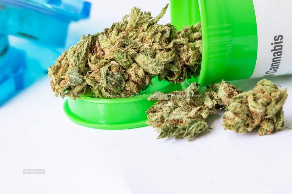 Why Professional Guidance For Medicinal Cannabis Matters (2) Why Professional Guidance For Medicinal Cannabis Matters
