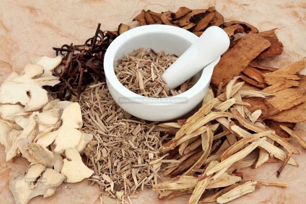 Thai Herbal Medicine And Wellness (1) Thai Herbal Medicine And Wellness