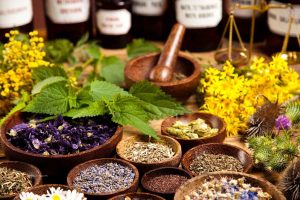 Thai Herbal Medicine Practitioners