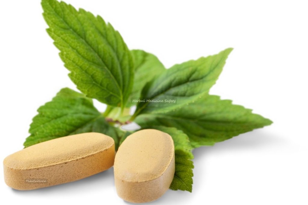 Herbal Medicine Safety